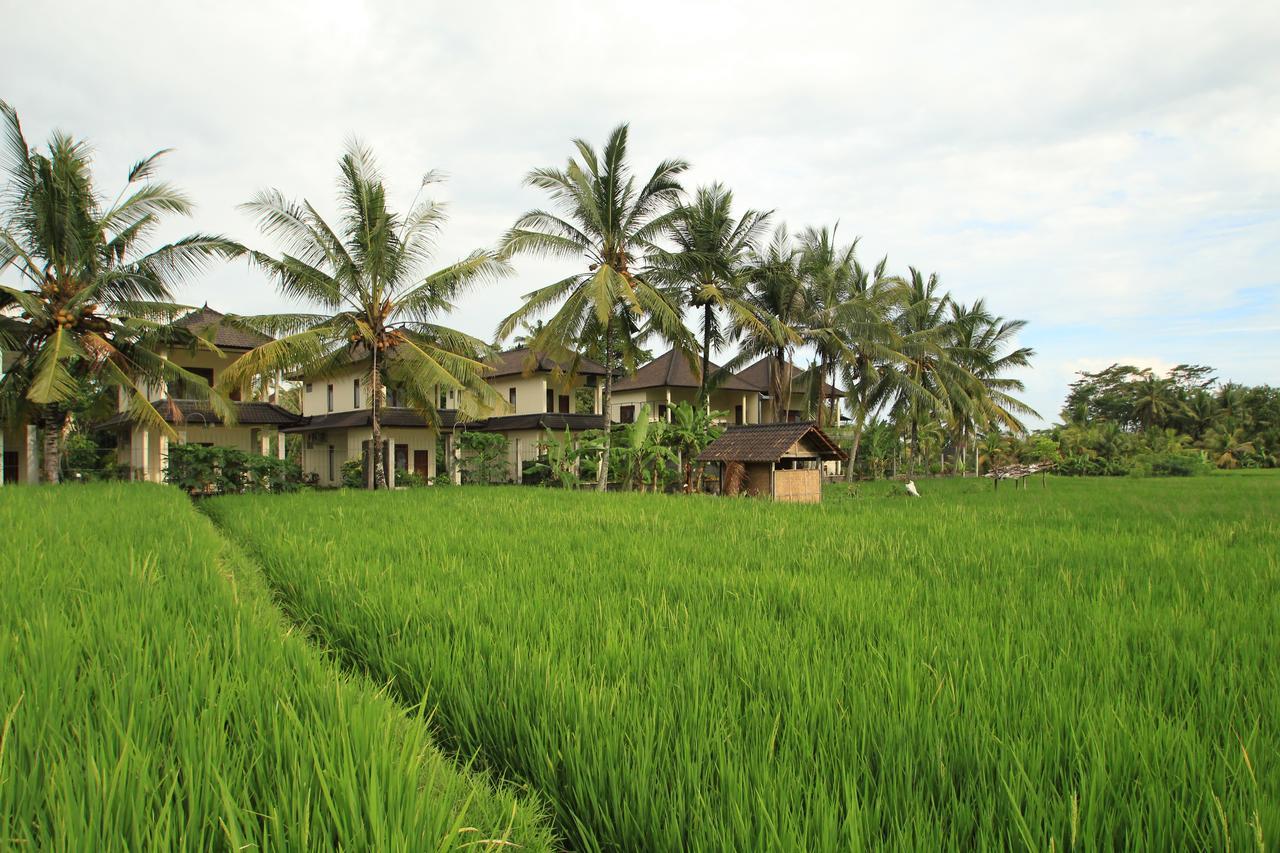 Uma Capung Mas Cottage Убуд Экстерьер фото